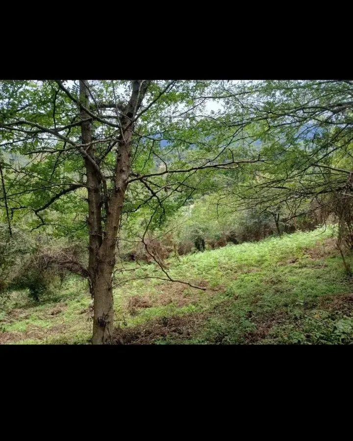 ۷۰۰مترزمین بومگردی در سوخته کوه