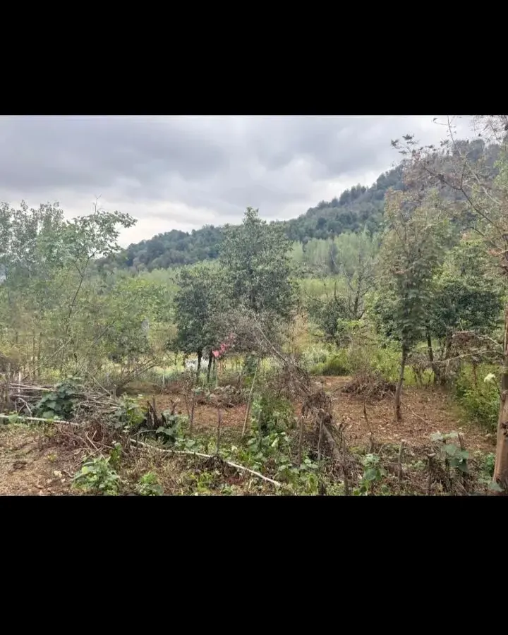 300متر زمین داخل طرح در خورتای