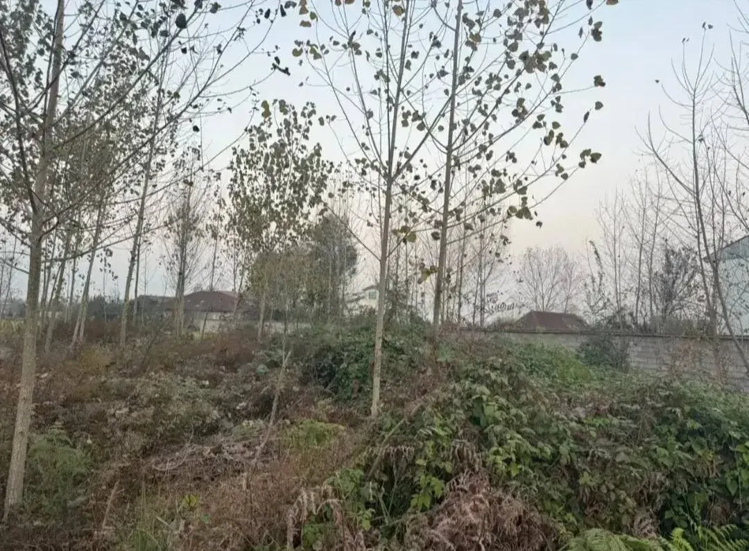 ۳۰۰ متر زمین داخل طرح هادی
