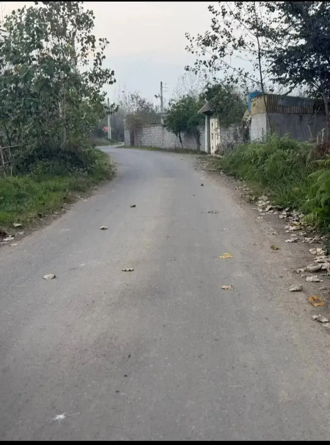 ۳۰۰ متر زمین داخل طرح هادی