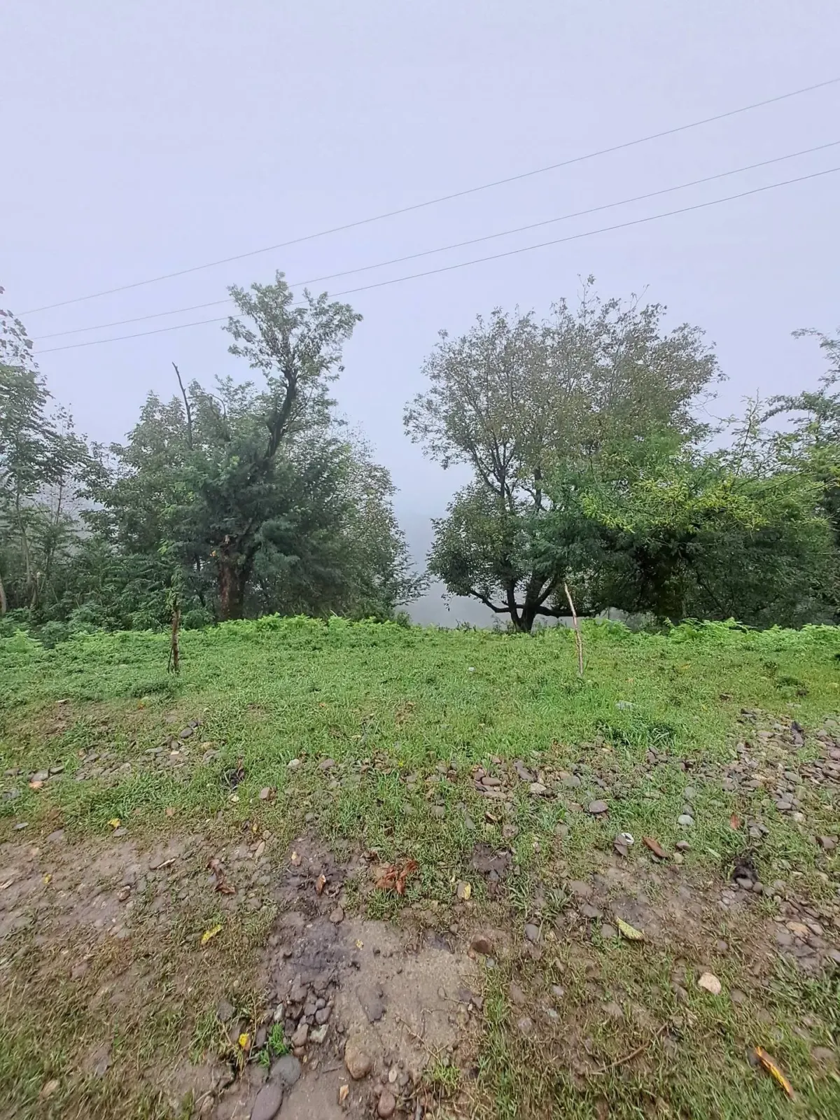 زمین مسکونی باغی در منطقه کوهپایه